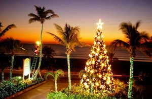 Christmas Holiday Tree Lighting Ceremony