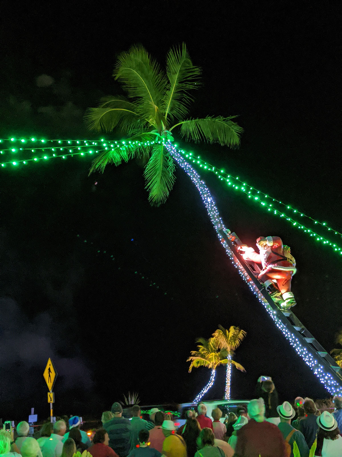 Santa on palm tree at Captiva Island Hotel Tween Waters